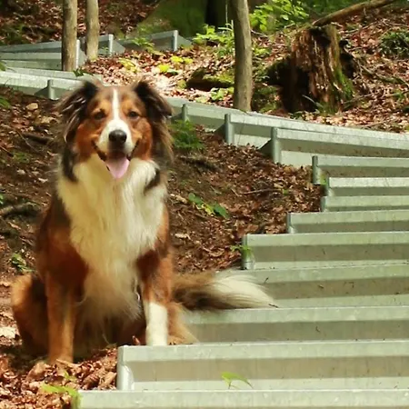 Thalerbauer Διαμέρισμα *