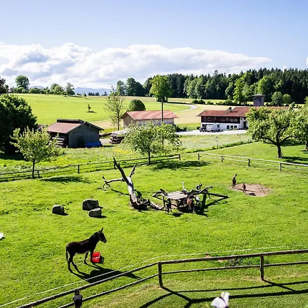 Thalerbauer アパート *