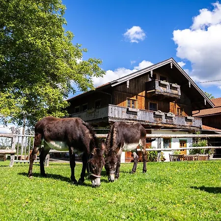 Apartamento Thalerbauer *
